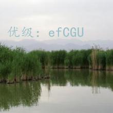 ʱ