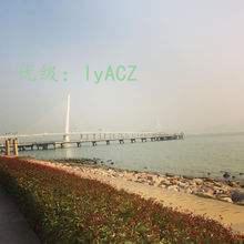 ˫