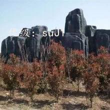 ʱ