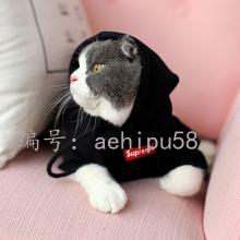 벻