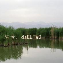 ΢